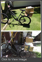 bike_cargo.jpg