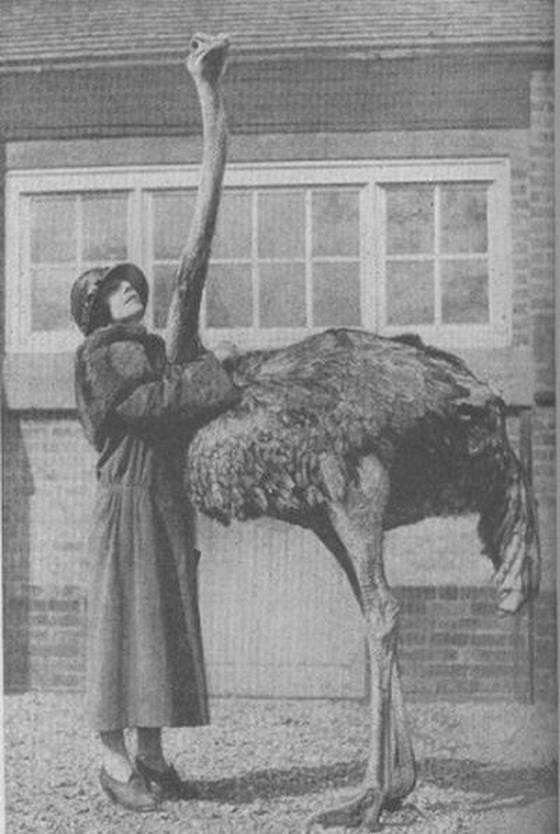 old-funny-and-weird-photos18.jpg