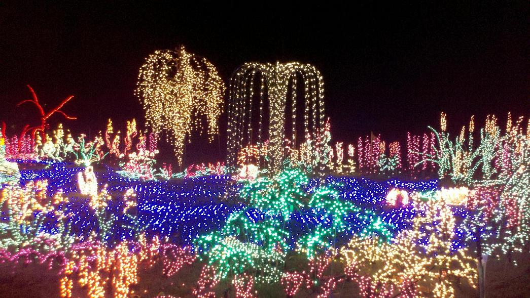 mainLightDisplay.jpg
