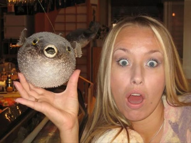 95 She Relates To The Blowfish_thumb.jpg