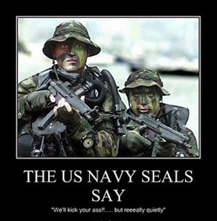 SEALS.jpg