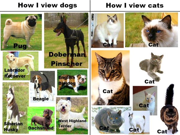 oh0Ib (600 x 450).jpg