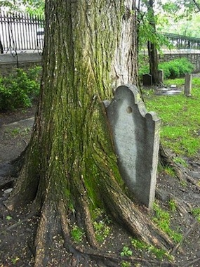 grave.jpg