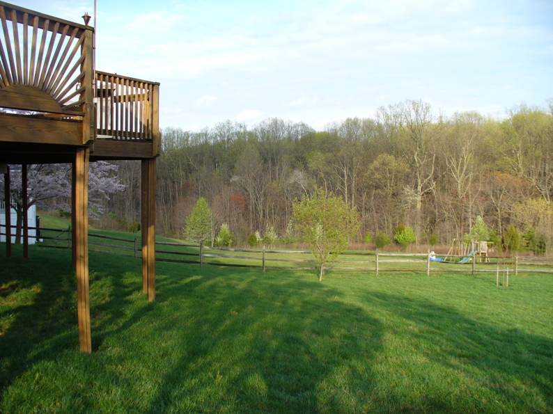 Backyard & Son 018.jpg