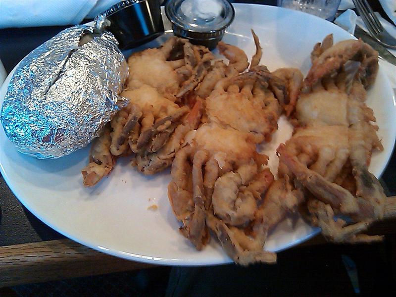 Soft shell crabs - yum (Medium).JPG