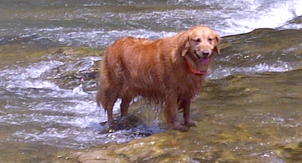 River Monster.jpg