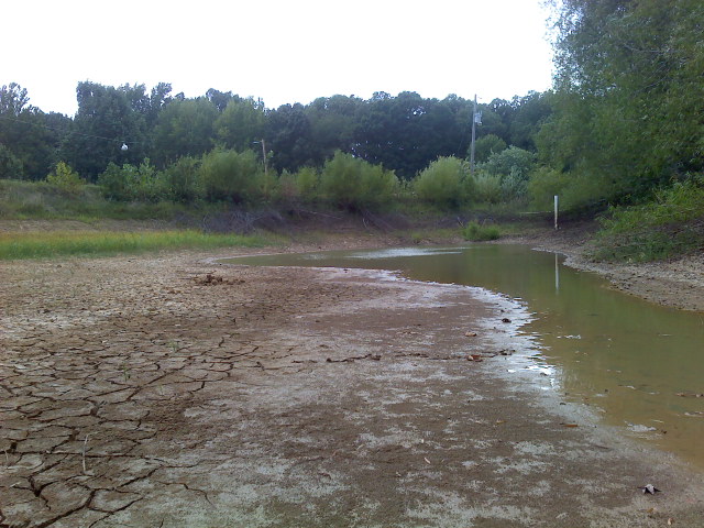 0831021443.jpg