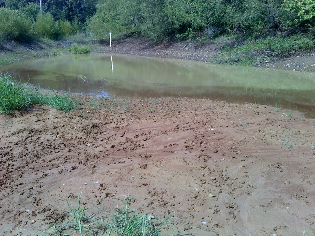 0907021120.jpg