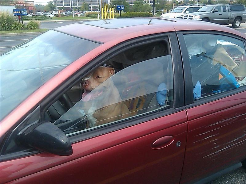 Car security (Medium).JPG