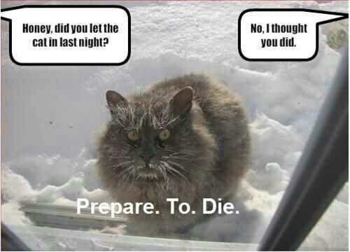 1350531774-picsay.jpg