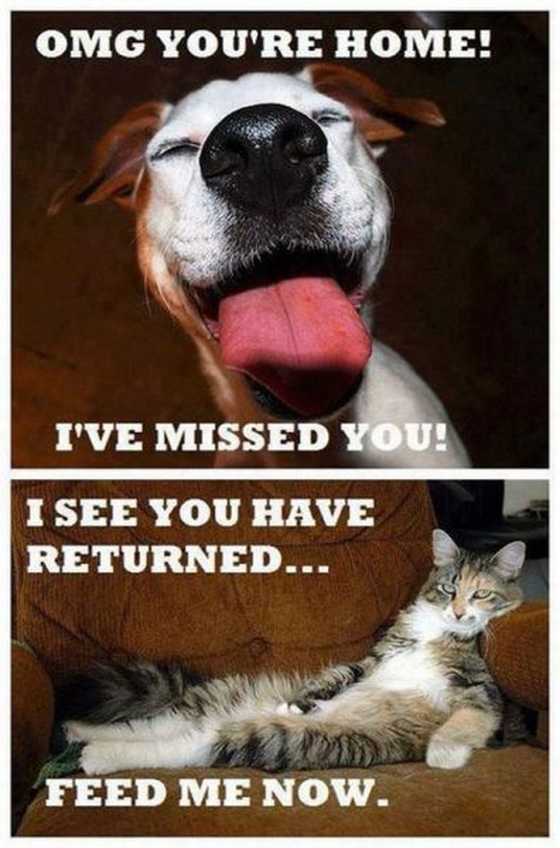 Your-Mix-Amazing-And-Funny-Pictures-Collection-2107-040.jpg