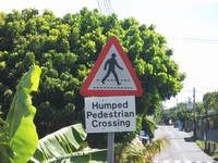 mini-Humped Ped Xing.JPG