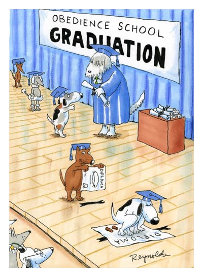 dog_obedience_school_grad.jpg