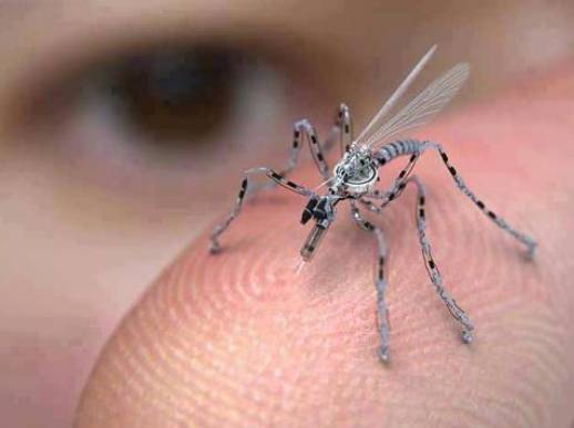 NanoMosquito.jpg