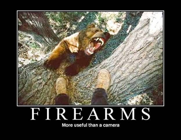 bear.jpg