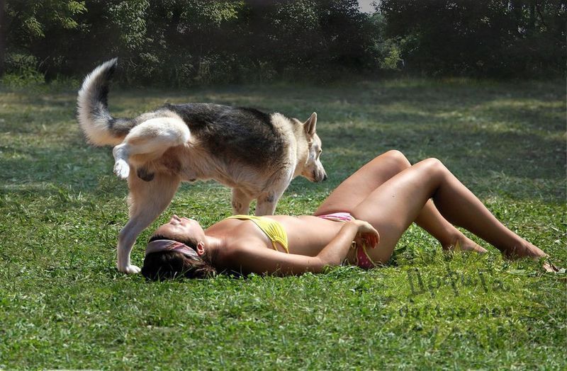 dog.jpg