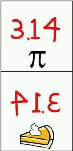 5137b3ce0fcae.jpg