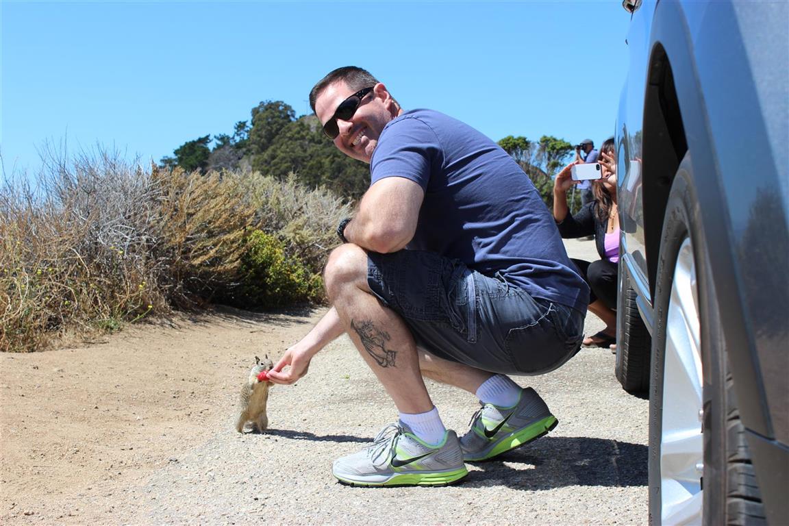 Squirrel!.JPG
