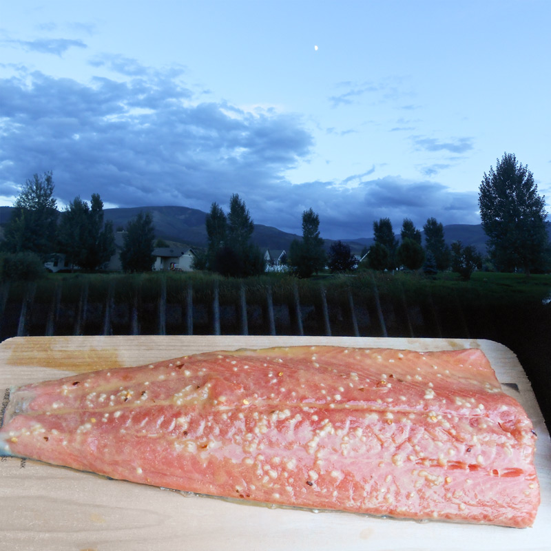 DSCN2534_Friday13thSalmon.jpg