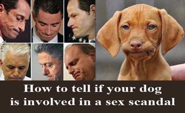 scandal (600 x 366).jpg