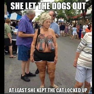 the dogs.jpg