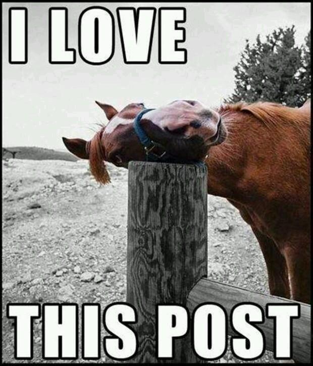 cbid post.JPG