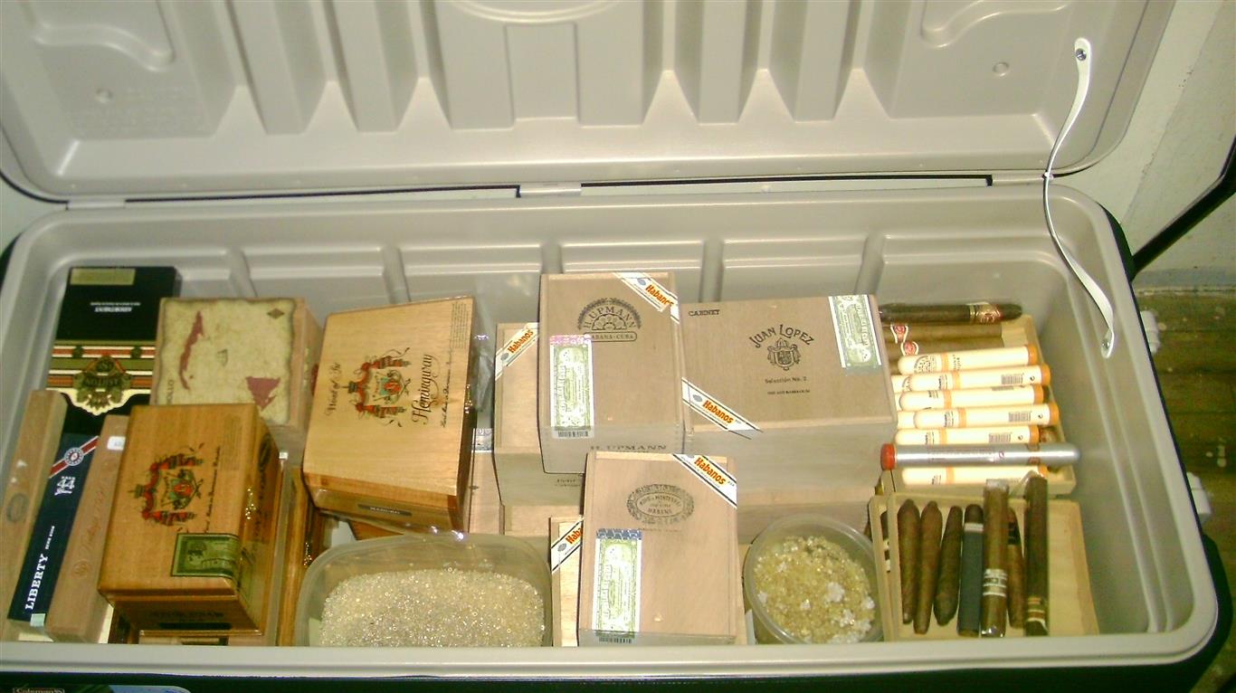 IMAG0162 (Medium).JPG