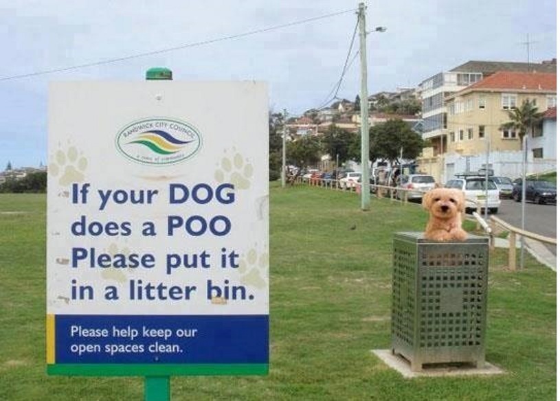 dogpoo2.jpg