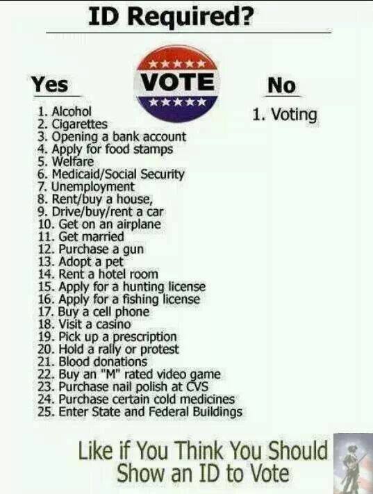 TheVote.jpg