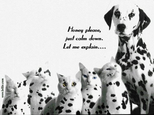 Dalmations.jpg