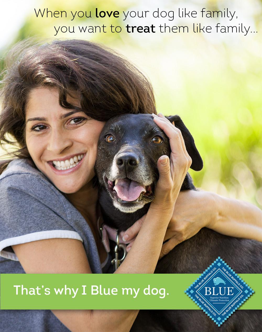blue my dog.jpg
