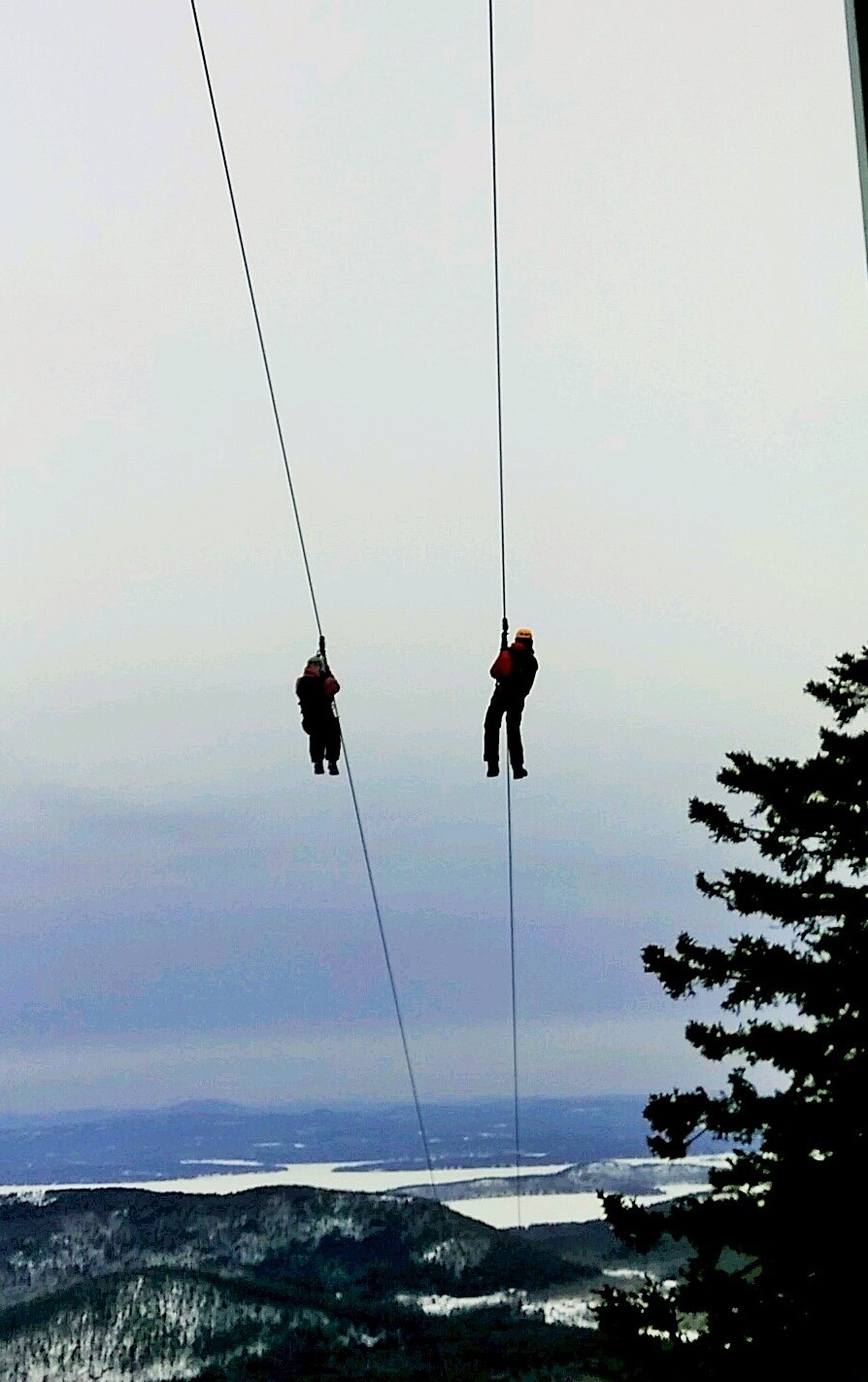 Zip Line.jpg