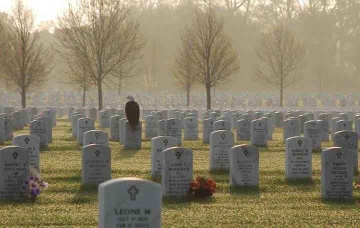 Standing Guard.jpg