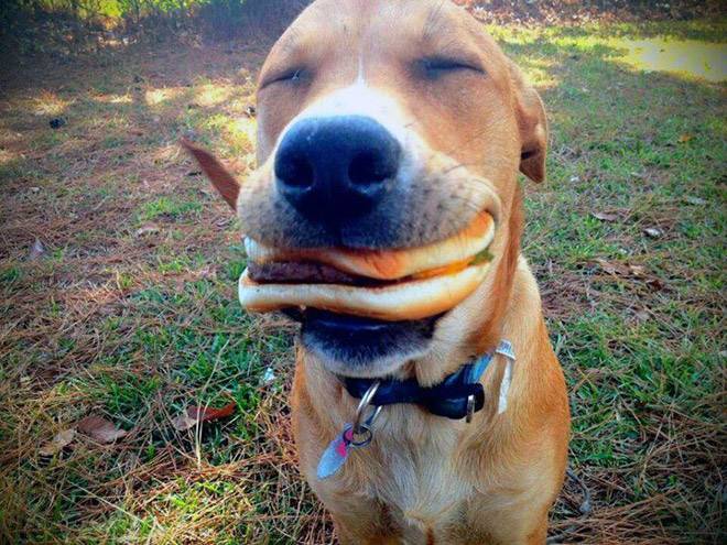 Hamburgler.jpg