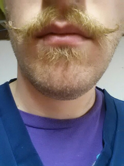 Stache_resized.jpg