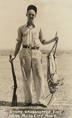 Giant Grasshopper .jpg