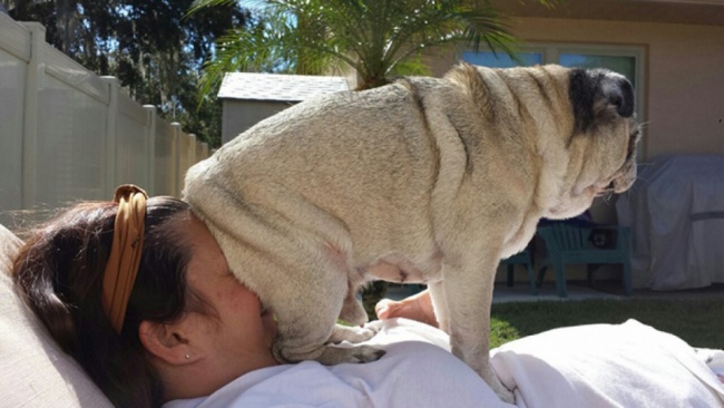 Hilarious-Dogs-001.jpg
