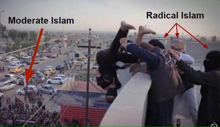 Moderatemuslims.jpg