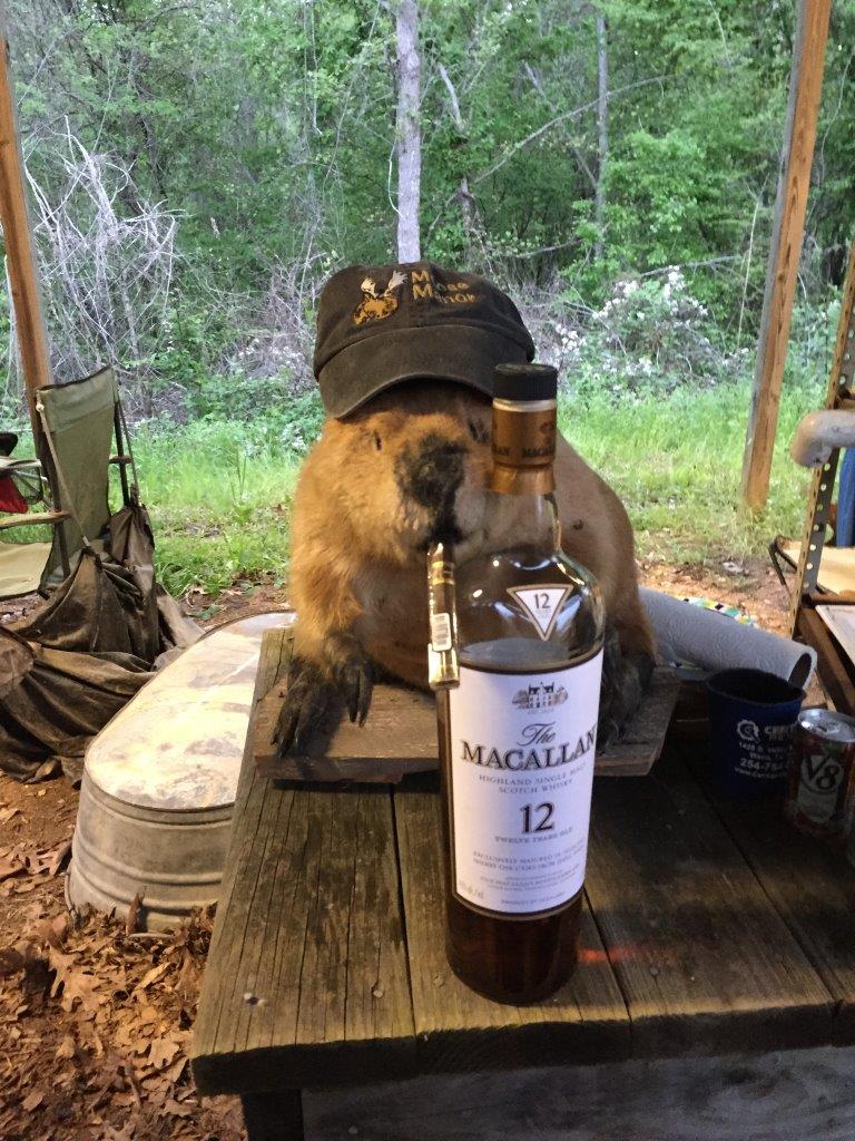 justin beaver.jpg