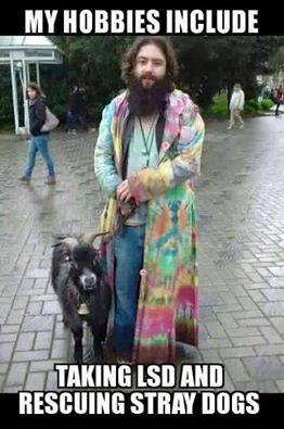 Hippy.jpg