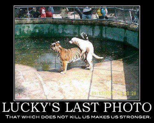 FB_IMG_1462296461557.jpg