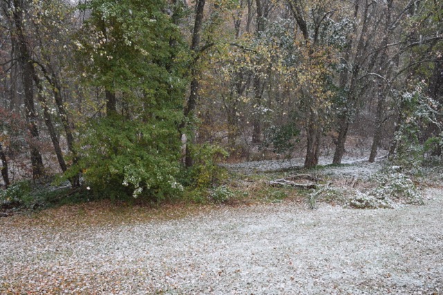 DSC_0059.jpg