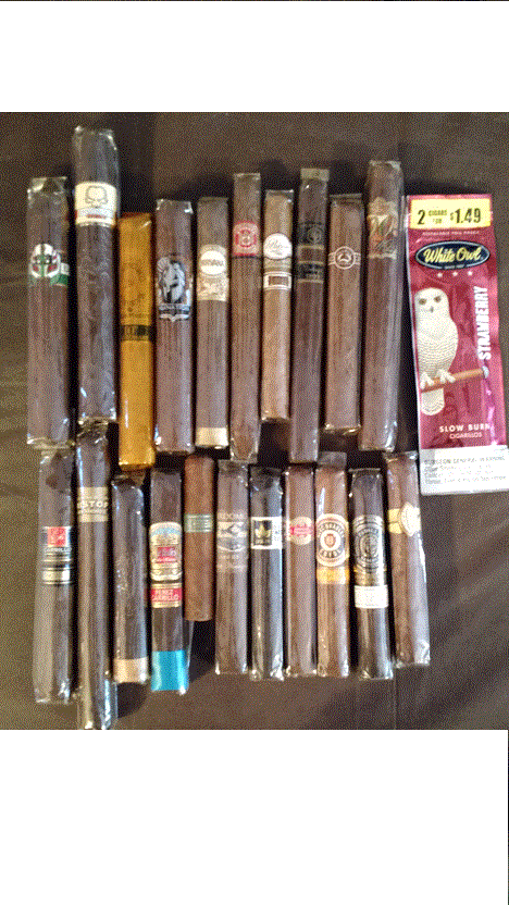 SS#2a.gif