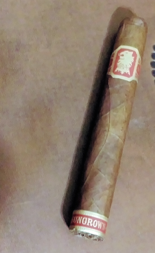 UnderCrown Sungrown.jpg