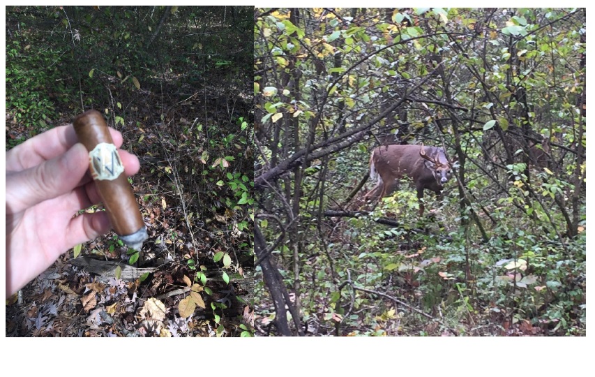 buck fever.jpg