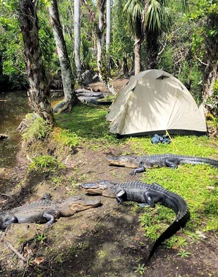 CAMPING.jpg