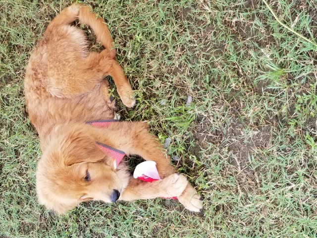 20190705_143333.jpg