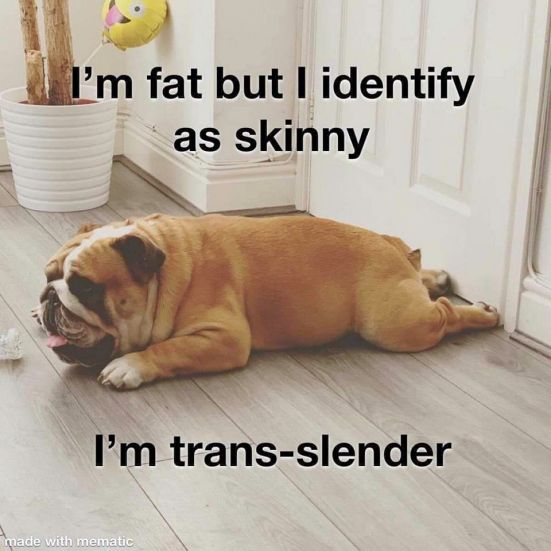 trans.jpg