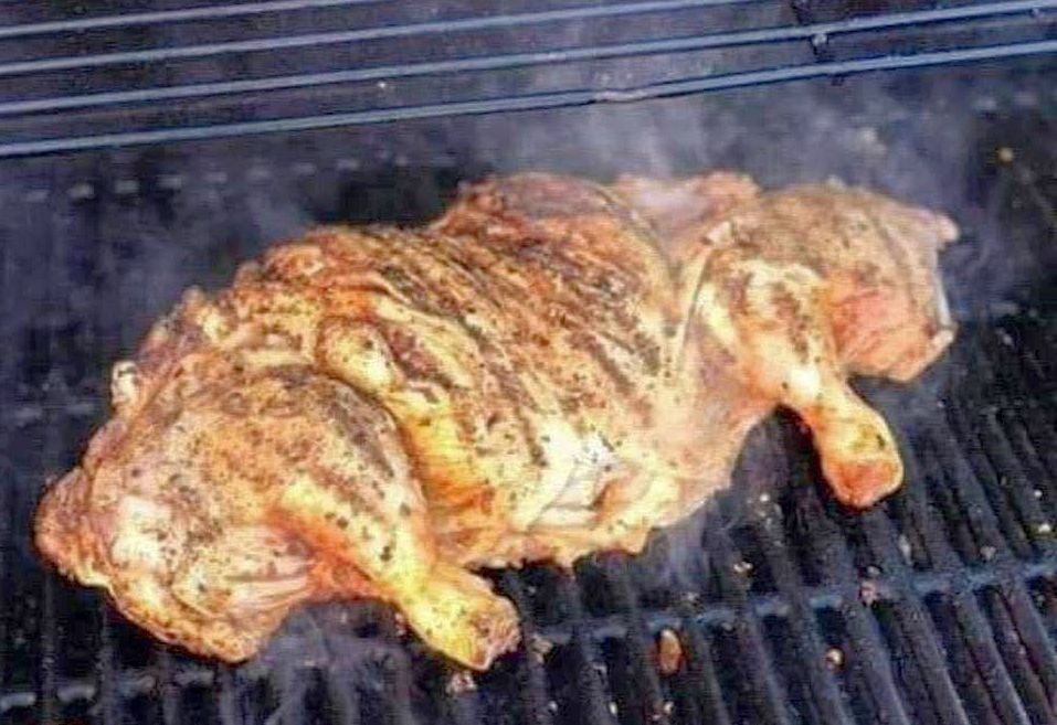 BBQ Kitty 2.jpg