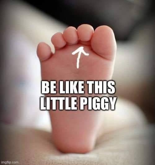 Piggy.jpg